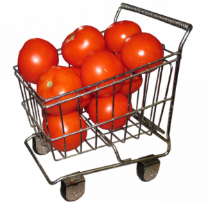 ekologisk restaurang